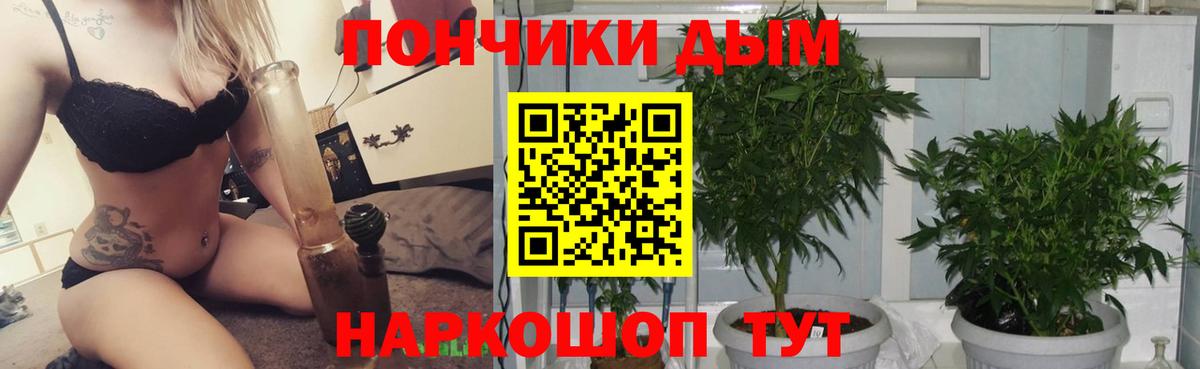 Марихуана планчик Железноводск